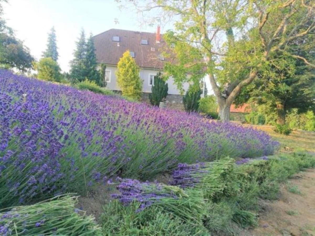 Villa Izabella Badacsonytördemic 外观 照片